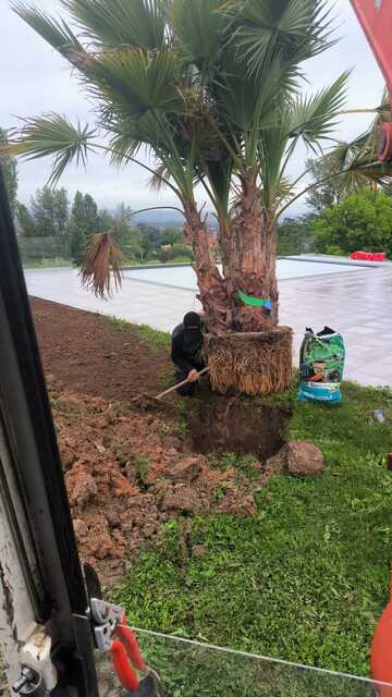 Plantation