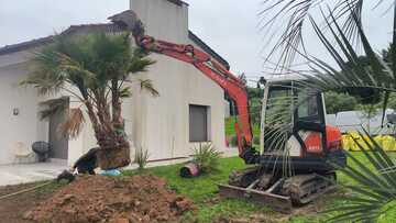 Plantation