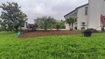 Plantation