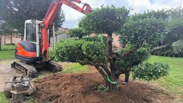 Plantation