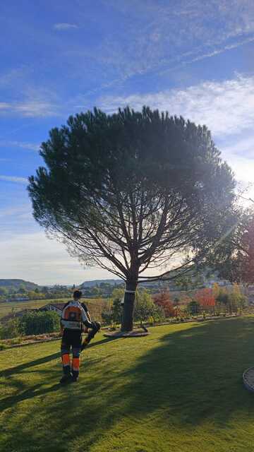 ENTRETIEN JARDIN 1