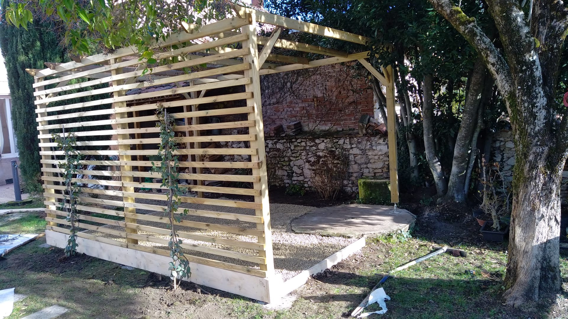 36e27e6c-3995-4edc-80c6-e304a1bd1818_1