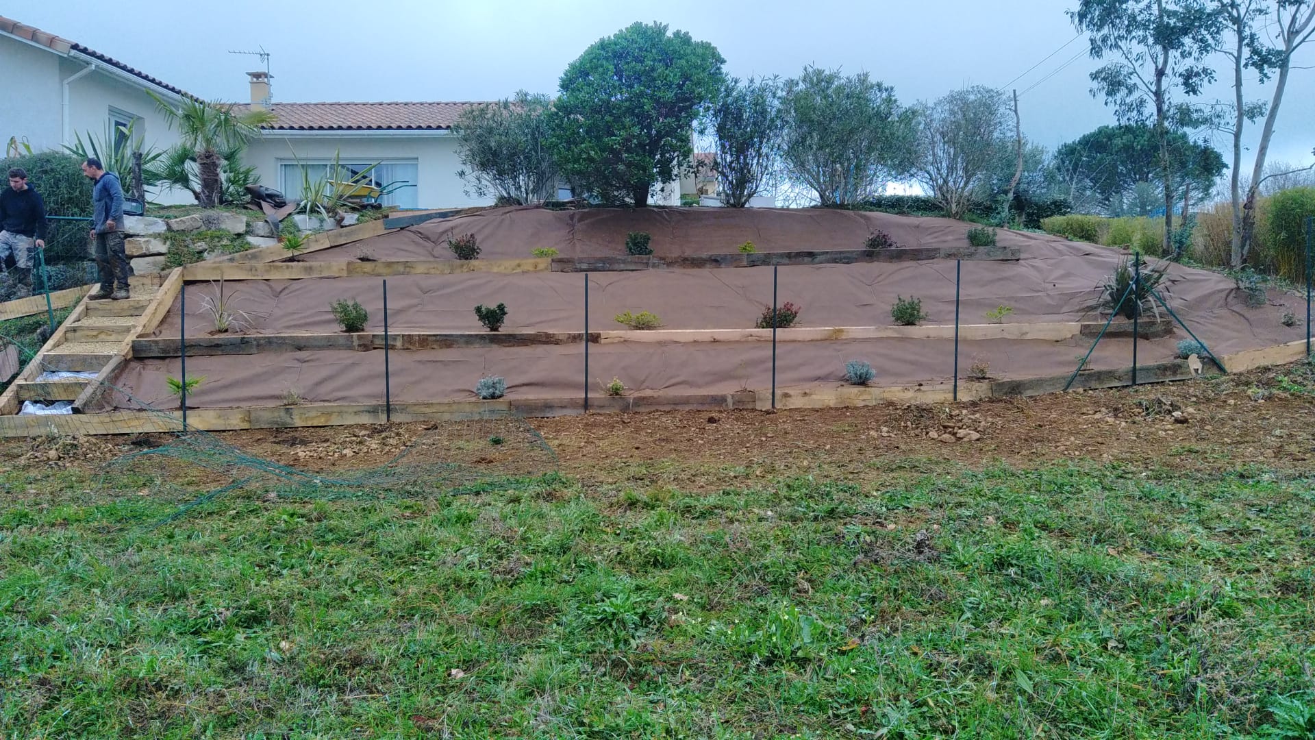 694a3d5b-818a-4a88-9a4f-a34c0d6d5034_1_1