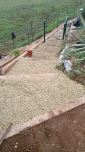 a5be9445-05bc-4853-9fd5-46e3c53ddd92_1