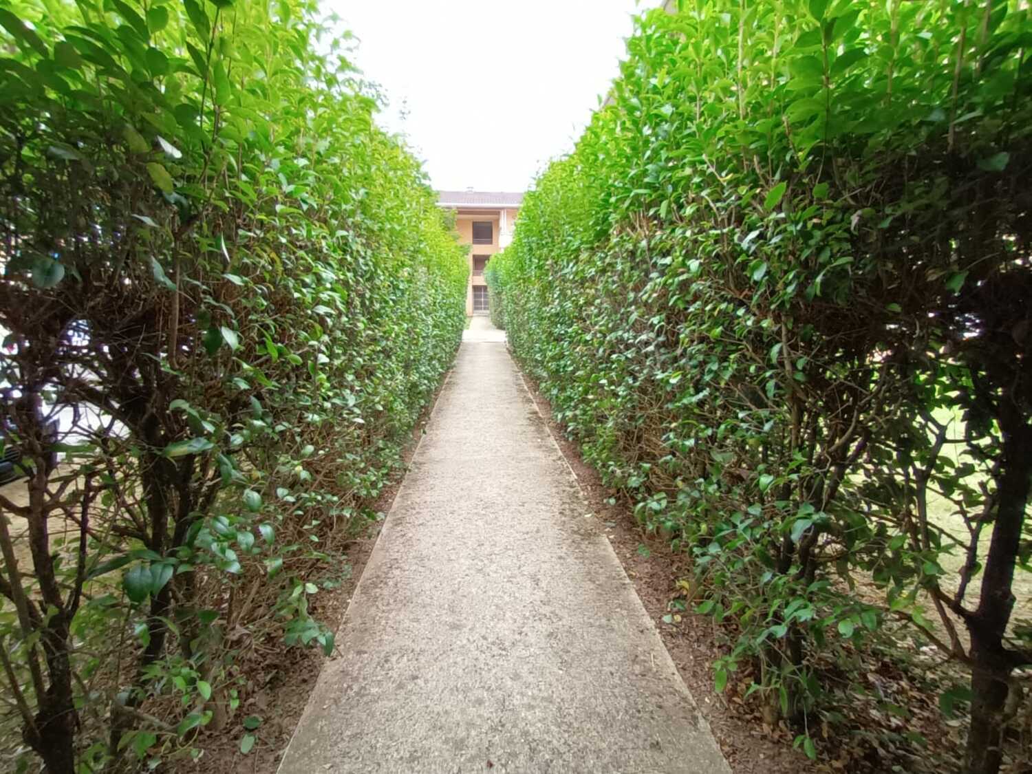 Entretien de jardins