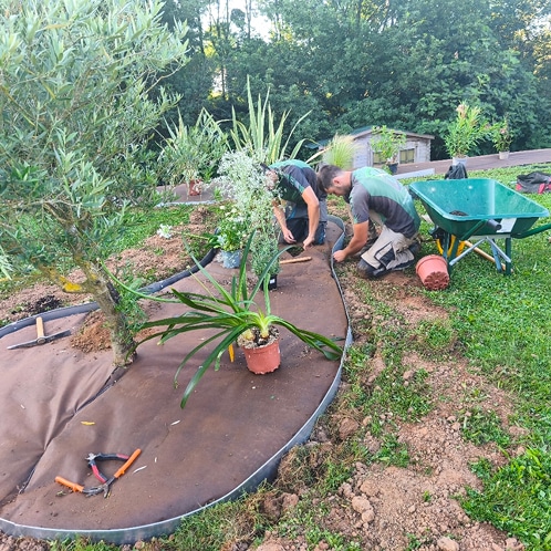 Tailler la haie : Sécateur professionnel pour entretien du jardin Gros plan sur un sécateur coupant une pousse de haie. Gants de jardinage et feuilles vert brillant en pleine lumière.