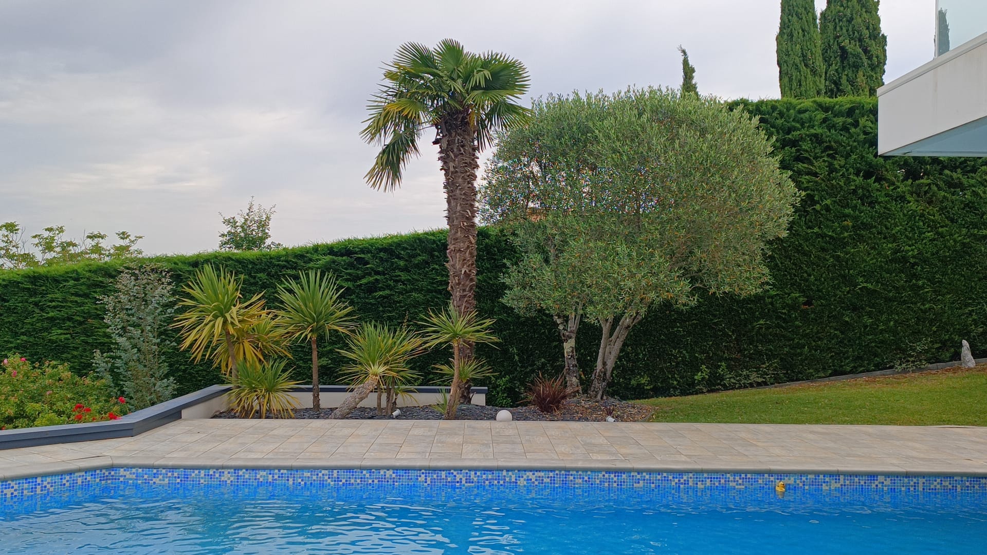 Création paysagère