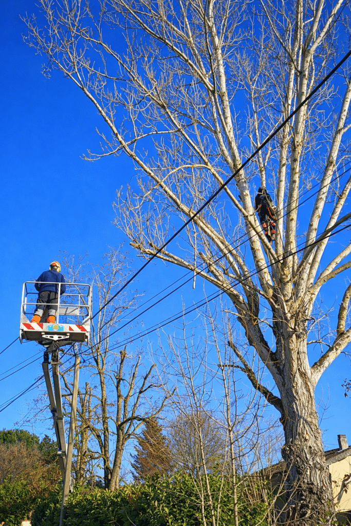 ChatGPT Image 20 févr. 2026, 14_01_08