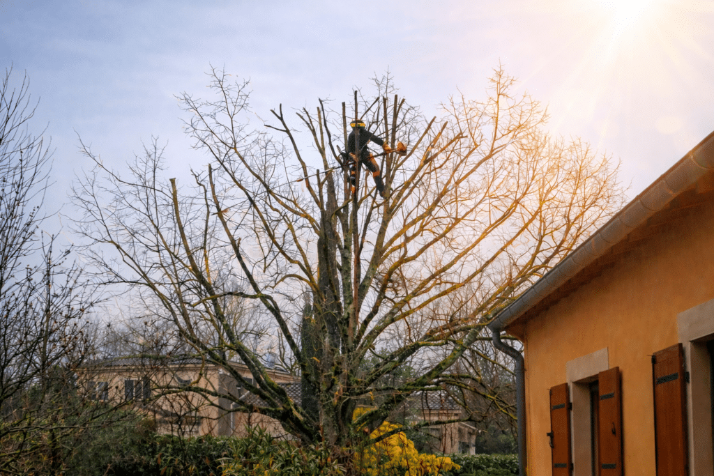 ChatGPT Image 20 févr. 2026, 14_10_30